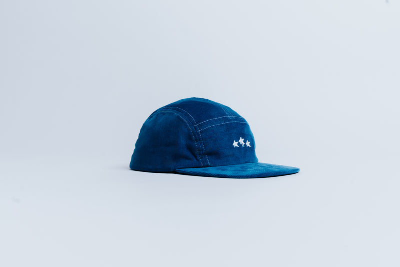 5 PANEL CAP