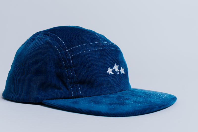 5 PANEL CAP